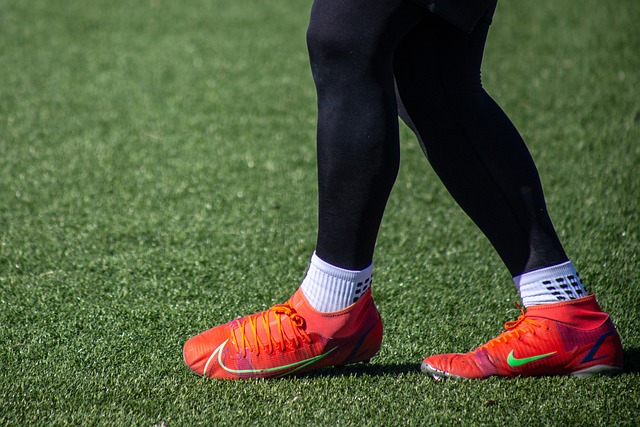 巨星占據 巨星占據