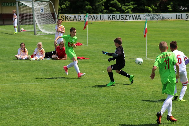 的情感共鸣 的情感共鸣