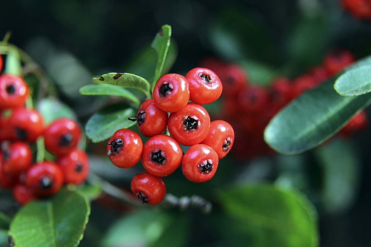 这样的努力 这样的努力