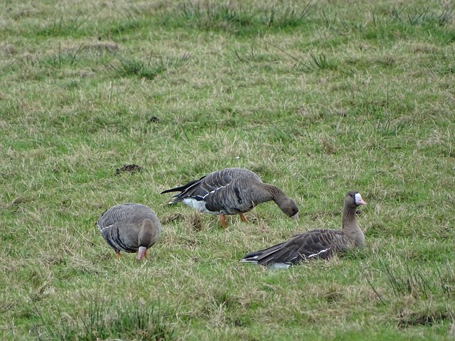 精准的视野 精准的视野