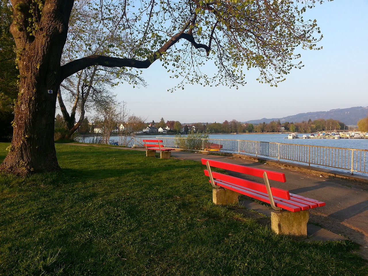 冷战结束后 冷战结束后