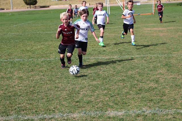 在这场与篮 在这场与篮